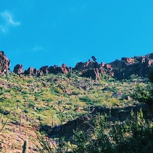 Meet your Posher, Isabella